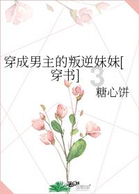 延熹攻略大换装